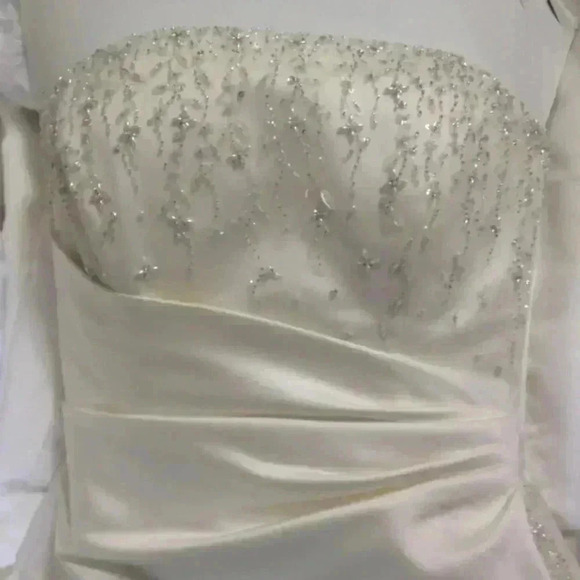 Maggie Sottero - NWOT - Dion Wedding dress.  Sz 6-10 - Picture 9 of 10